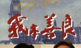 我笨善良在线观看,一场温馨的视觉盛宴